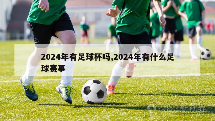2024年有足球杯吗,2024年有什么足球赛事